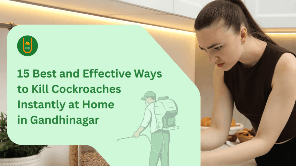 15 Best and Effective Ways to Kill Cockroaches Instantly at Home in Gandhinagar (2025)