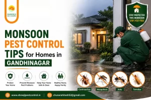 Monsoon Pest Control Tips for Homes in Gandhinagar